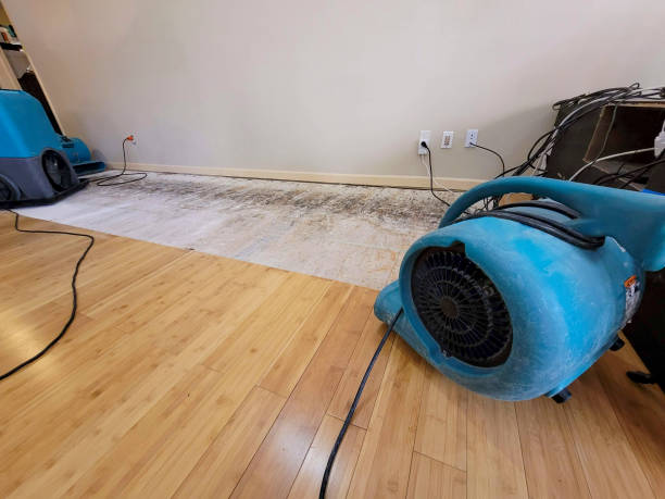 Professional Water Extraction technician working in West Sayville, NY